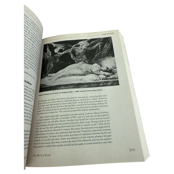 The Witch Book Encyclopedia Witchcraft Wicca Neo-Paganism Raymond Buckland - Picture 7 of 7